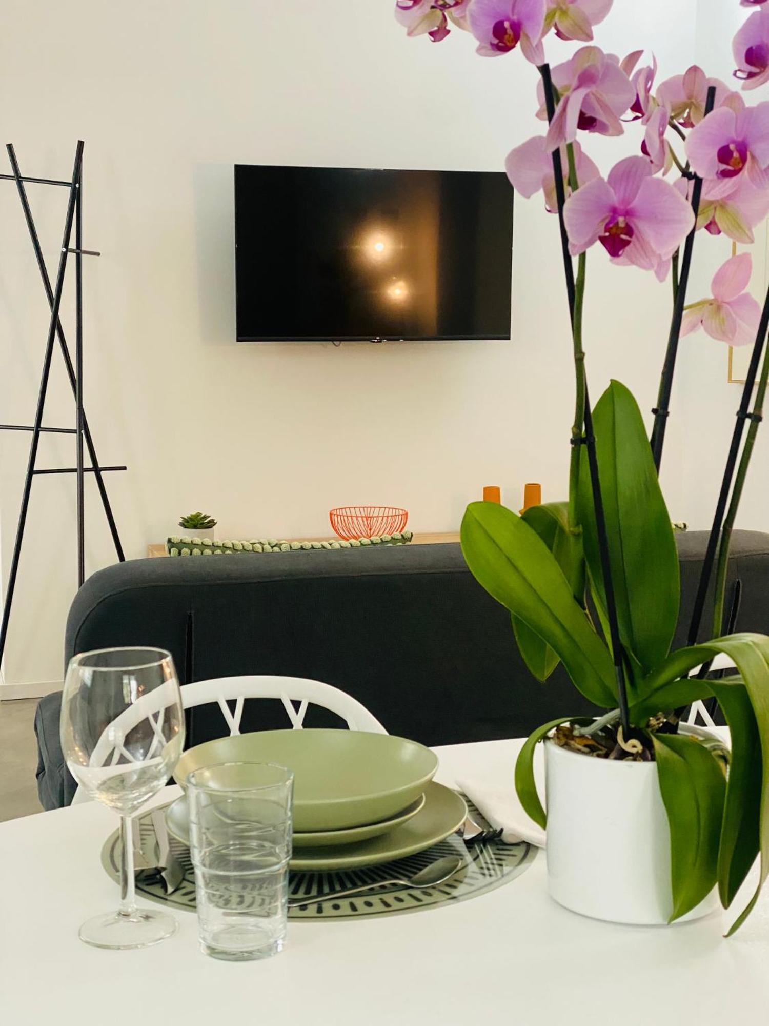 Apartamento Elisa A - In Front Of The Walls Of